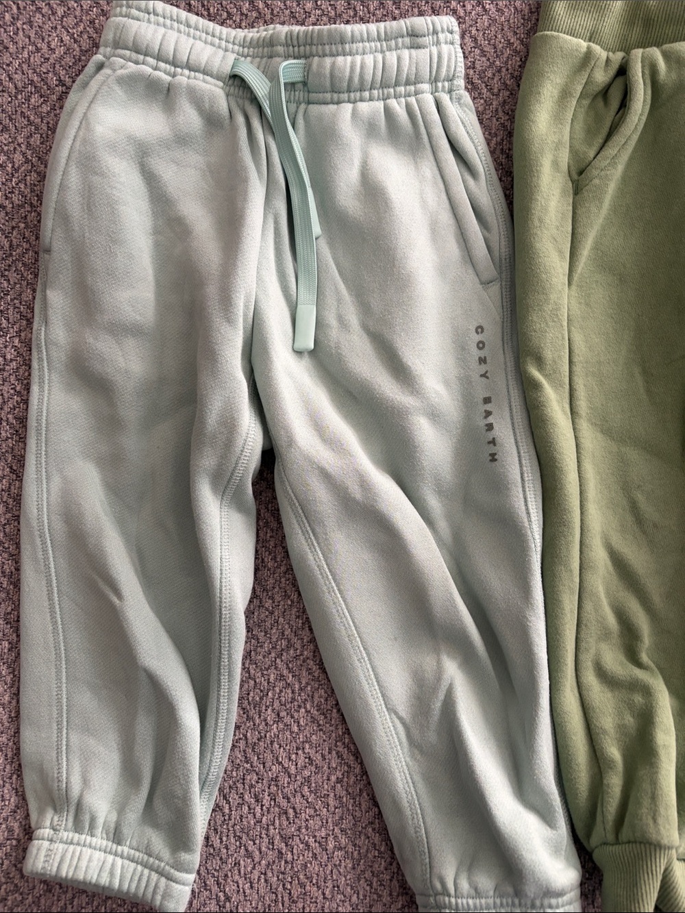 Kids Light Sage Fleece Jogger Pants 3T pants bundle